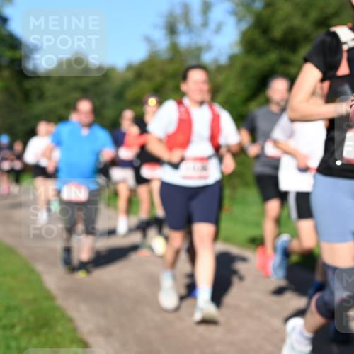 27.09.2026 - 35. Volkslauf durch das schöne Alstertal Dr. Thomas Lammeyer http://msf.ph/oto/10561843 27.09.2026 10:05:57 Laufen 102 meine-sportfotos.de
