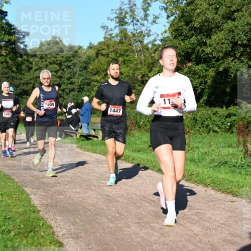 27.09.2026 - 35. Volkslauf durch das schöne Alstertal Dr. Thomas Lammeyer http://msf.ph/oto/10561863 27.09.2026 10:06:00 Laufen 1685, 1504, 1447, 11 meine-sportfotos.de
