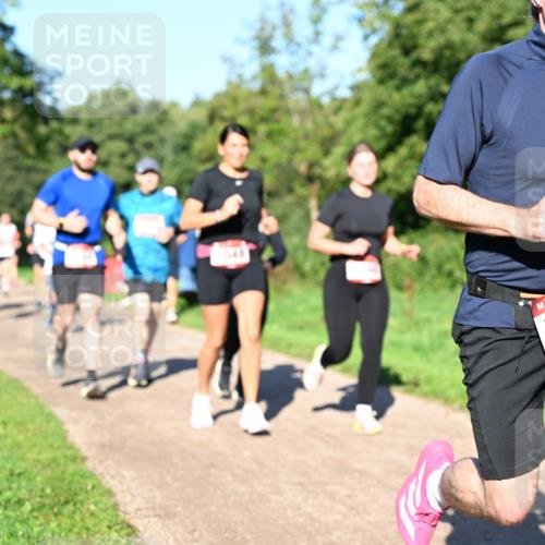 27.09.2026 - 35. Volkslauf durch das schöne Alstertal Dr. Thomas Lammeyer http://msf.ph/oto/10561897 27.09.2026 10:06:06 Laufen 1525 meine-sportfotos.de