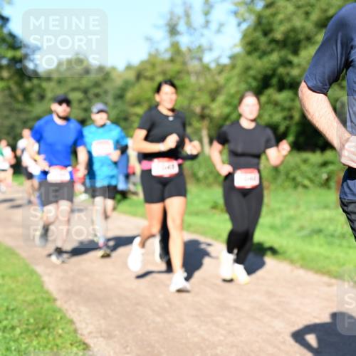 27.09.2026 - 35. Volkslauf durch das schöne Alstertal Dr. Thomas Lammeyer http://msf.ph/oto/10561898 27.09.2026 10:06:06 Laufen 1525 meine-sportfotos.de