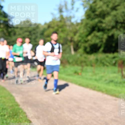 27.09.2026 - 35. Volkslauf durch das schöne Alstertal Dr. Thomas Lammeyer http://msf.ph/oto/10561915 27.09.2026 10:06:09 Laufen  meine-sportfotos.de