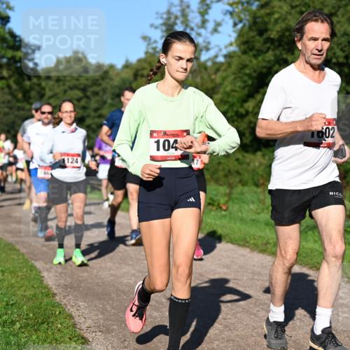 27.09.2026 - 35. Volkslauf durch das schöne Alstertal Dr. Thomas Lammeyer http://msf.ph/oto/10561960 27.09.2026 10:06:16 Laufen 124, 104, 1602 meine-sportfotos.de