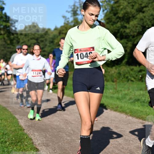 27.09.2026 - 35. Volkslauf durch das schöne Alstertal Dr. Thomas Lammeyer http://msf.ph/oto/10561962 27.09.2026 10:06:17 Laufen 1124, 104, 1602 meine-sportfotos.de