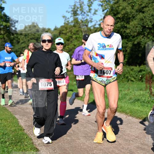27.09.2026 - 35. Volkslauf durch das schöne Alstertal Dr. Thomas Lammeyer http://msf.ph/oto/10561990 27.09.2026 10:06:22 Laufen 1710, 1064, 1075, 7550, 1607 meine-sportfotos.de