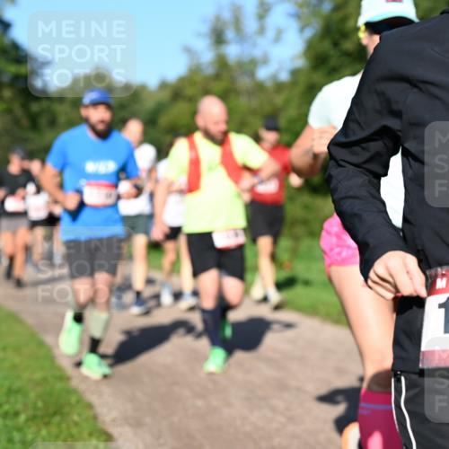 27.09.2026 - 35. Volkslauf durch das schöne Alstertal Dr. Thomas Lammeyer http://msf.ph/oto/10561996 27.09.2026 10:06:24 Laufen 10, 5 meine-sportfotos.de