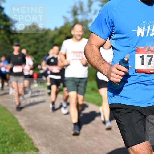 27.09.2026 - 35. Volkslauf durch das schöne Alstertal Dr. Thomas Lammeyer http://msf.ph/oto/10562006 27.09.2026 10:06:25 Laufen 1710 meine-sportfotos.de