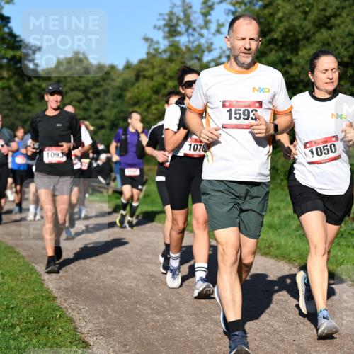 27.09.2026 - 35. Volkslauf durch das schöne Alstertal Dr. Thomas Lammeyer http://msf.ph/oto/10562009 27.09.2026 10:06:26 Laufen 1078, 1093, 1593, 1050 meine-sportfotos.de