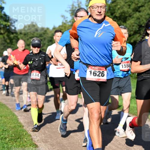 27.09.2026 - 35. Volkslauf durch das schöne Alstertal Dr. Thomas Lammeyer http://msf.ph/oto/10562061 27.09.2026 10:06:35 Laufen 134, 1626, 1558, 10 meine-sportfotos.de