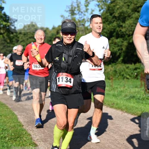 27.09.2026 - 35. Volkslauf durch das schöne Alstertal Dr. Thomas Lammeyer http://msf.ph/oto/10562065 27.09.2026 10:06:36 Laufen 163, 1134, 166 meine-sportfotos.de