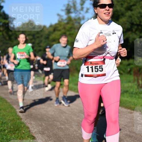 27.09.2026 - 35. Volkslauf durch das schöne Alstertal Dr. Thomas Lammeyer http://msf.ph/oto/10562084 27.09.2026 10:06:42 Laufen 1155 meine-sportfotos.de
