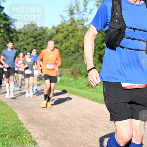 27.09.2026 - 35. Volkslauf durch das schöne Alstertal Dr. Thomas Lammeyer http://msf.ph/oto/10562134 27.09.2026 10:06:50 Laufen  meine-sportfotos.de