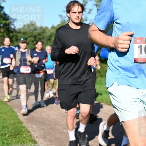 27.09.2026 - 35. Volkslauf durch das schöne Alstertal Dr. Thomas Lammeyer http://msf.ph/oto/10562180 27.09.2026 10:06:58 Laufen 1619 meine-sportfotos.de