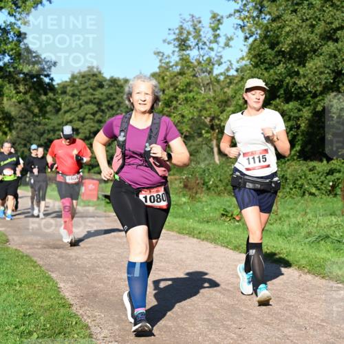 27.09.2026 - 35. Volkslauf durch das schöne Alstertal Dr. Thomas Lammeyer http://msf.ph/oto/10562247 27.09.2026 10:07:21 Laufen 1659, 1080, 1115 meine-sportfotos.de