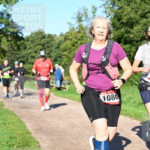 27.09.2026 - 35. Volkslauf durch das schöne Alstertal Dr. Thomas Lammeyer http://msf.ph/oto/10562254 27.09.2026 10:07:21 Laufen 165, 1080, 1115 meine-sportfotos.de