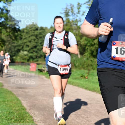 27.09.2026 - 35. Volkslauf durch das schöne Alstertal Dr. Thomas Lammeyer http://msf.ph/oto/10562324 27.09.2026 10:07:36 Laufen 1099, 1668 meine-sportfotos.de