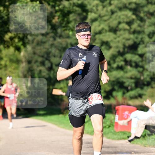 27.09.2026 - 35. Volkslauf durch das schöne Alstertal Dr. Thomas Lammeyer http://msf.ph/oto/10562496 27.09.2026 10:23:47 Laufen 84, 90 meine-sportfotos.de