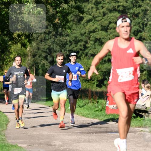 27.09.2026 - 35. Volkslauf durch das schöne Alstertal Dr. Thomas Lammeyer http://msf.ph/oto/10562514 27.09.2026 10:23:54 Laufen  meine-sportfotos.de