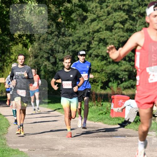 27.09.2026 - 35. Volkslauf durch das schöne Alstertal Dr. Thomas Lammeyer http://msf.ph/oto/10562517 27.09.2026 10:23:55 Laufen 70, 3, 2980, 2033, 34, 167 meine-sportfotos.de