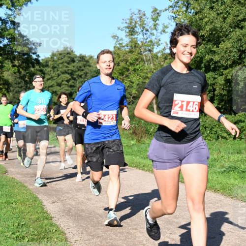 27.09.2026 - 35. Volkslauf durch das schöne Alstertal Dr. Thomas Lammeyer http://msf.ph/oto/10562739 27.09.2026 10:24:41 Laufen 31, 2358, 2423, 2146 meine-sportfotos.de