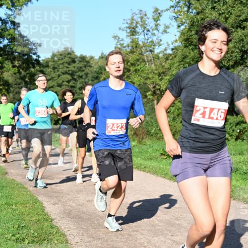 27.09.2026 - 35. Volkslauf durch das schöne Alstertal Dr. Thomas Lammeyer http://msf.ph/oto/10562740 27.09.2026 10:24:41 Laufen 2358, 2423, 2146 meine-sportfotos.de