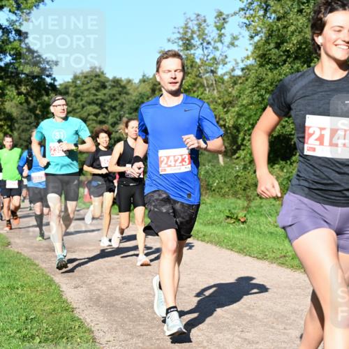27.09.2026 - 35. Volkslauf durch das schöne Alstertal Dr. Thomas Lammeyer http://msf.ph/oto/10562741 27.09.2026 10:24:41 Laufen 213, 2423, 2146 meine-sportfotos.de
