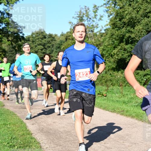 27.09.2026 - 35. Volkslauf durch das schöne Alstertal Dr. Thomas Lammeyer http://msf.ph/oto/10562742 27.09.2026 10:24:41 Laufen 31, 2358, 2423, 2146 meine-sportfotos.de