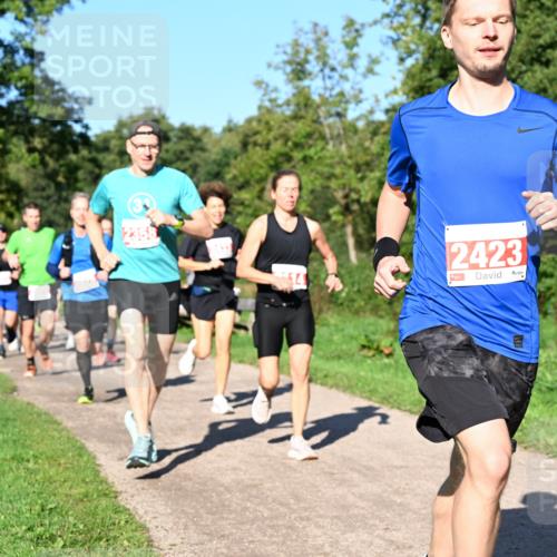 27.09.2026 - 35. Volkslauf durch das schöne Alstertal Dr. Thomas Lammeyer http://msf.ph/oto/10562746 27.09.2026 10:24:42 Laufen 2358, 2423, 1 meine-sportfotos.de