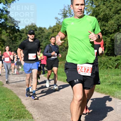 27.09.2026 - 35. Volkslauf durch das schöne Alstertal Dr. Thomas Lammeyer http://msf.ph/oto/10562768 27.09.2026 10:24:46 Laufen 2473 meine-sportfotos.de