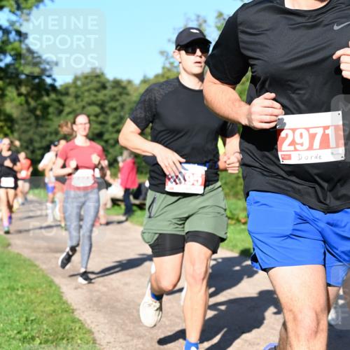 27.09.2026 - 35. Volkslauf durch das schöne Alstertal Dr. Thomas Lammeyer http://msf.ph/oto/10562776 27.09.2026 10:24:47 Laufen 2971, 8 meine-sportfotos.de