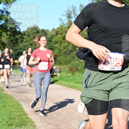 27.09.2026 - 35. Volkslauf durch das schöne Alstertal Dr. Thomas Lammeyer http://msf.ph/oto/10562781 27.09.2026 10:24:48 Laufen 2495 meine-sportfotos.de