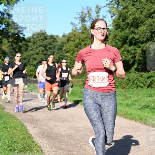 27.09.2026 - 35. Volkslauf durch das schöne Alstertal Dr. Thomas Lammeyer http://msf.ph/oto/10562787 27.09.2026 10:24:49 Laufen 2323 meine-sportfotos.de