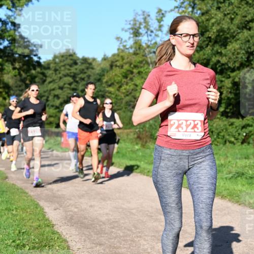 27.09.2026 - 35. Volkslauf durch das schöne Alstertal Dr. Thomas Lammeyer http://msf.ph/oto/10562788 27.09.2026 10:24:49 Laufen 2323 meine-sportfotos.de