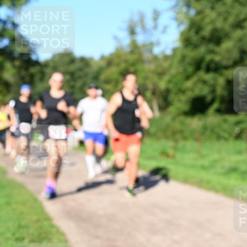 27.09.2026 - 35. Volkslauf durch das schöne Alstertal Dr. Thomas Lammeyer http://msf.ph/oto/10562789 27.09.2026 10:24:50 Laufen  meine-sportfotos.de