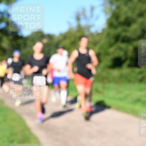 27.09.2026 - 35. Volkslauf durch das schöne Alstertal Dr. Thomas Lammeyer http://msf.ph/oto/10562791 27.09.2026 10:24:50 Laufen  meine-sportfotos.de