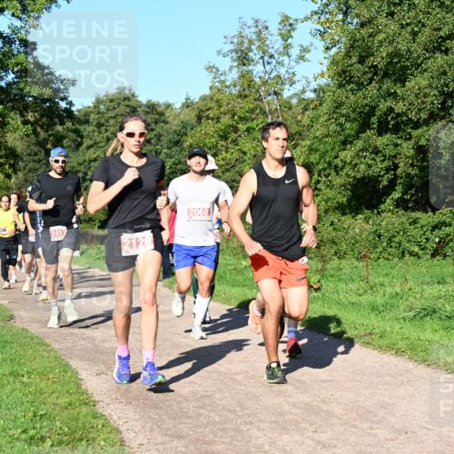 27.09.2026 - 35. Volkslauf durch das schöne Alstertal Dr. Thomas Lammeyer http://msf.ph/oto/10562792 27.09.2026 10:24:51 Laufen 2412, 2129, 2068 meine-sportfotos.de