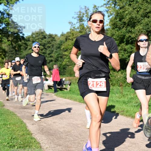 27.09.2026 - 35. Volkslauf durch das schöne Alstertal Dr. Thomas Lammeyer http://msf.ph/oto/10562799 27.09.2026 10:24:52 Laufen 2412, 2129, 2392 meine-sportfotos.de