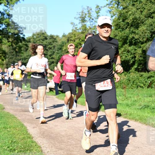 27.09.2026 - 35. Volkslauf durch das schöne Alstertal Dr. Thomas Lammeyer http://msf.ph/oto/10562816 27.09.2026 10:24:55 Laufen 2977, 2976, 2443, 2376 meine-sportfotos.de