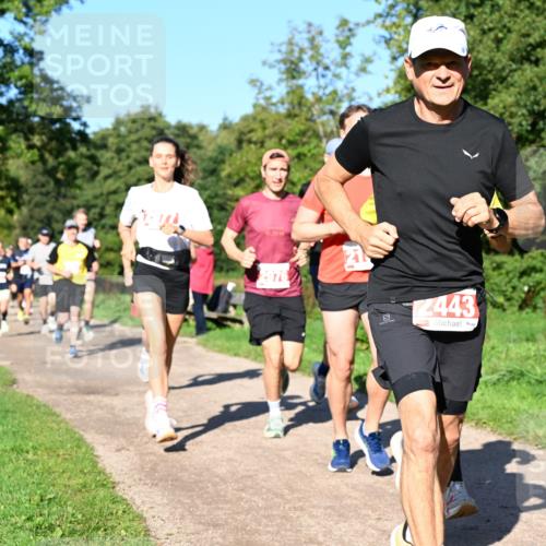 27.09.2026 - 35. Volkslauf durch das schöne Alstertal Dr. Thomas Lammeyer http://msf.ph/oto/10562818 27.09.2026 10:24:55 Laufen 2443 meine-sportfotos.de