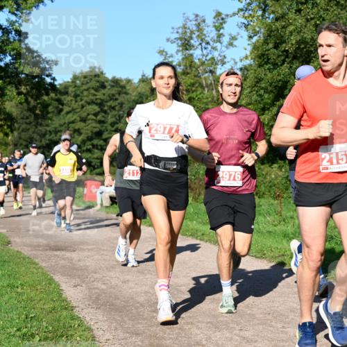 27.09.2026 - 35. Volkslauf durch das schöne Alstertal Dr. Thomas Lammeyer http://msf.ph/oto/10562822 27.09.2026 10:24:56 Laufen 2408, 2112, 2977, 42, 195, 2, 976, 2157 meine-sportfotos.de
