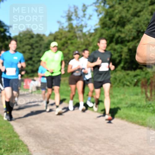 27.09.2026 - 35. Volkslauf durch das schöne Alstertal Dr. Thomas Lammeyer http://msf.ph/oto/10562912 27.09.2026 10:25:18 Laufen  meine-sportfotos.de