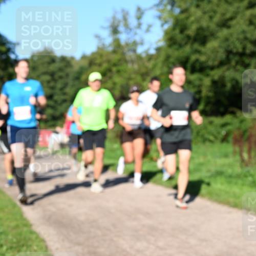 27.09.2026 - 35. Volkslauf durch das schöne Alstertal Dr. Thomas Lammeyer http://msf.ph/oto/10562913 27.09.2026 10:25:18 Laufen  meine-sportfotos.de