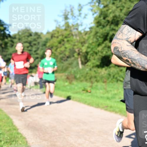 27.09.2026 - 35. Volkslauf durch das schöne Alstertal Dr. Thomas Lammeyer http://msf.ph/oto/10562926 27.09.2026 10:25:21 Laufen  meine-sportfotos.de
