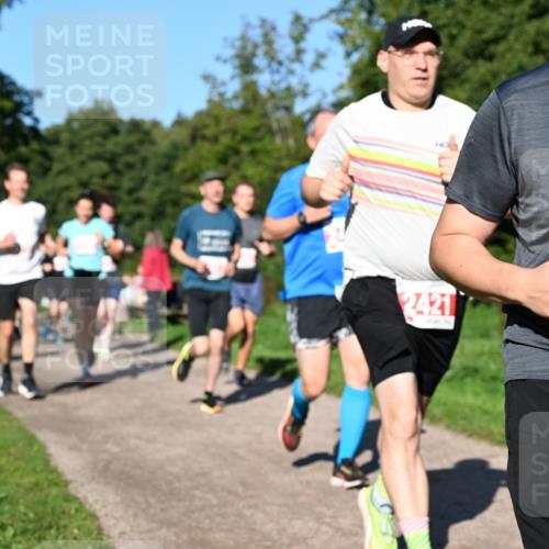 27.09.2026 - 35. Volkslauf durch das schöne Alstertal Dr. Thomas Lammeyer http://msf.ph/oto/10562963 27.09.2026 10:25:28 Laufen 2421, 2207 meine-sportfotos.de