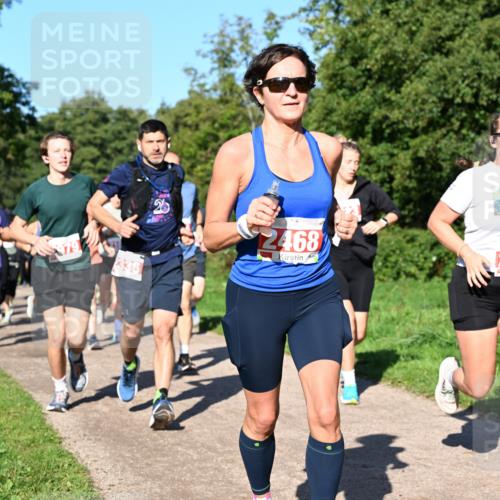 27.09.2026 - 35. Volkslauf durch das schöne Alstertal Dr. Thomas Lammeyer http://msf.ph/oto/10562979 27.09.2026 10:25:32 Laufen 336, 26, 2468, 2507 meine-sportfotos.de