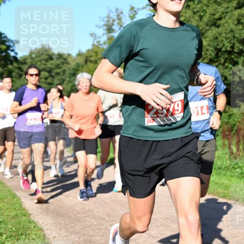 27.09.2026 - 35. Volkslauf durch das schöne Alstertal Dr. Thomas Lammeyer http://msf.ph/oto/10562988 27.09.2026 10:25:34 Laufen 210, 0149 meine-sportfotos.de