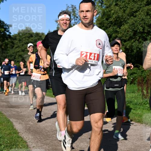 27.09.2026 - 35. Volkslauf durch das schöne Alstertal Dr. Thomas Lammeyer http://msf.ph/oto/10563005 27.09.2026 10:25:37 Laufen 2208, 2141, 388, 1214 meine-sportfotos.de