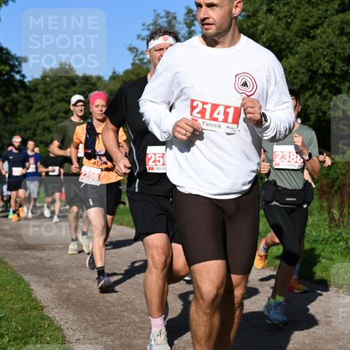 27.09.2026 - 35. Volkslauf durch das schöne Alstertal Dr. Thomas Lammeyer http://msf.ph/oto/10563006 27.09.2026 10:25:37 Laufen 2208, 25, 2141, 2388 meine-sportfotos.de