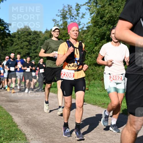 27.09.2026 - 35. Volkslauf durch das schöne Alstertal Dr. Thomas Lammeyer http://msf.ph/oto/10563011 27.09.2026 10:25:38 Laufen 2208, 2492 meine-sportfotos.de