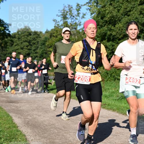 27.09.2026 - 35. Volkslauf durch das schöne Alstertal Dr. Thomas Lammeyer http://msf.ph/oto/10563013 27.09.2026 10:25:38 Laufen 2208, 2492 meine-sportfotos.de