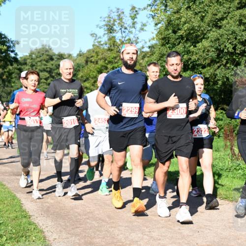 27.09.2026 - 35. Volkslauf durch das schöne Alstertal Dr. Thomas Lammeyer http://msf.ph/oto/10563036 27.09.2026 10:25:42 Laufen 2327, 2011, 2299, 2300, 2010, 2452, 2322, 2118 meine-sportfotos.de